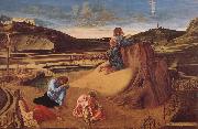 Giovanni Bellini Christ in Gethsemane painting